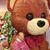 Melissa Holland Wade's profile image