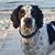 Karen Boyer's profile image