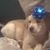 Barbara Ploski's profile image