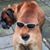 Brian Milner's profile image