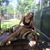 Aleigh DeLaporte's profile image