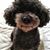 Steven Park's profile image