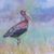 Jerri Stone's profile image