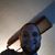 Jesse Philippi's profile image