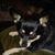 Dana Davy's profile image