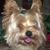Susan Meiner's profile image