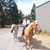 Virginia Curtis-Threadgill's profile image
