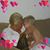 Kimberly Ann Sinnott's profile image