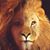 Mindy Knapp McWhirter's profile image