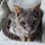 Margaret Johnson's profile image