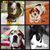 Renee Stratton's profile image