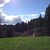 Karen Taff's profile image