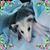 Terri Stewart Baker's profile image