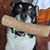Tunya Sytsma's profile image