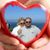 Glenn Degnan's profile image
