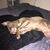 Sonia Moratti's profile image