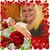 Jana Judge's profile image