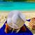 Lidia Ridder's profile image