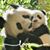 Cherie Bishop Rura's profile image