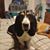 Trish Moberley's profile image