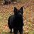 Renee Ware's profile image