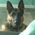 Sheila Daniels's profile image