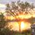Diane Smith Luers's profile image