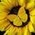 Dovey Tweedy's profile image