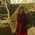Laina Sevey's profile image
