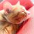 Terri Noble's profile image