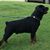 Glenda Bryant Cusher's profile image