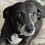 Cindy Baker Dietz's profile image