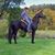 Marilyn Bister Thomas's profile image