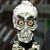 Scott Turofsky's profile image