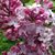 Gayle Geren's profile image