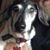 Chuck Bird's profile image