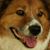 Bob Russell's profile image