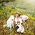 Leah Labourde's profile image