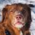 Melissa K. Read's profile image