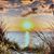 Donna Collins's profile image
