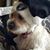 Madeline Webb's profile image