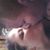 Joseloveslori Garcia's profile image
