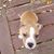 John Mails's profile image