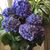Patricia Stevens's profile image
