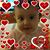 Lisa Caplan-Rodriguez's profile image