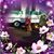 Renee Kohl-Ninmann's profile image