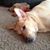Coleton Wille's profile image