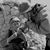 Ted Everest Doc Esguerra's profile image