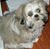 Mariko Wade's profile image