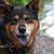 Annie Ardisana Brezek's profile image